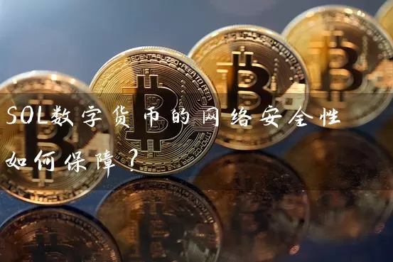 SOL数字货币的网络安全性如何保障？