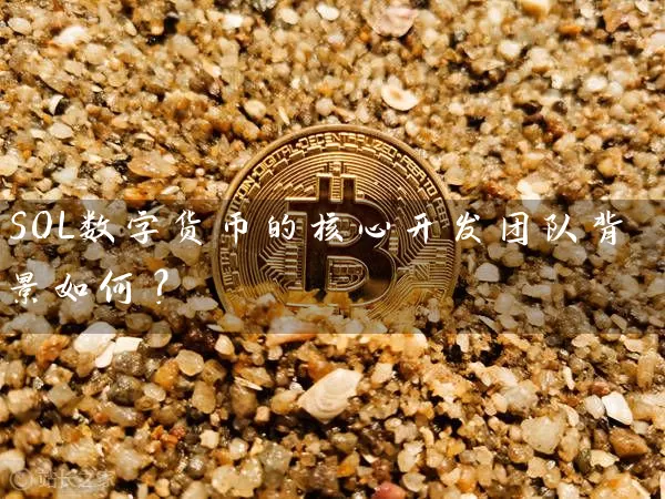 SOL数字货币的核心开发团队背景如何？