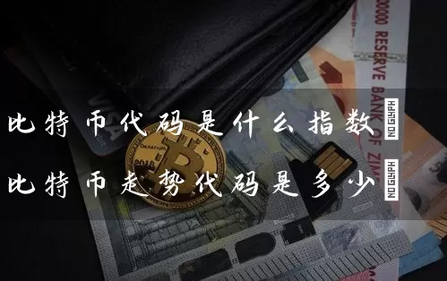 比特币代码是什么指数(比特币走势代码是多少)