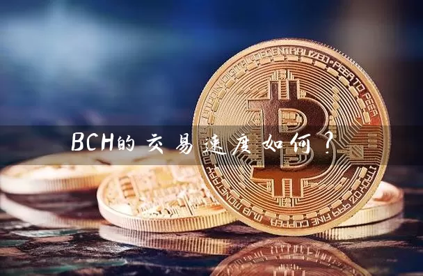 BCH的交易速度如何？