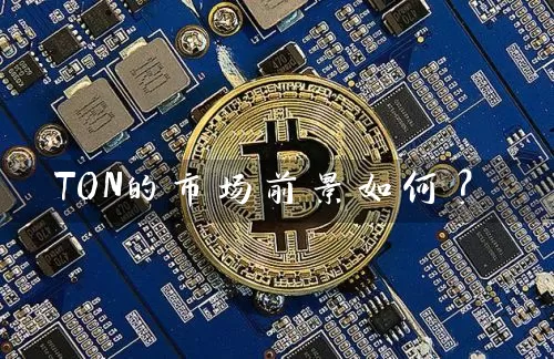 TON的市场前景如何？