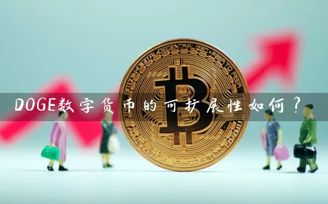 DOGE数字货币的可扩展性如何？