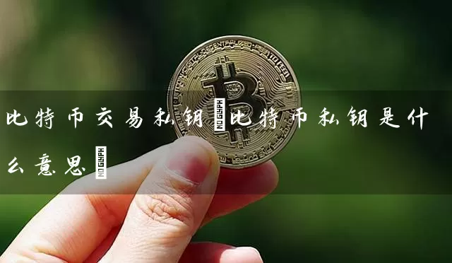 比特币交易私钥(比特币私钥是什么意思)