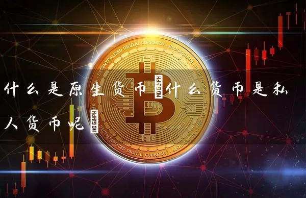 什么是原生货币(什么货币是私人货币呢)
