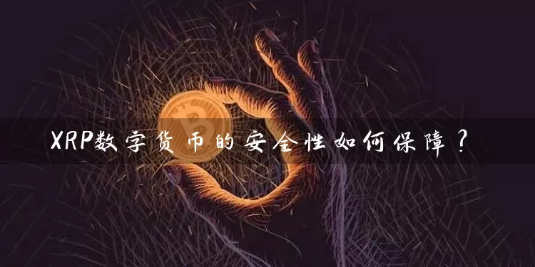 XRP数字货币的安全性如何保障？