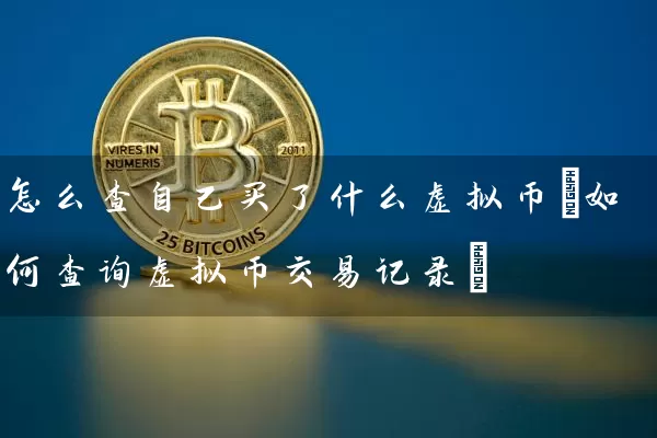 怎么查自己买了什么虚拟币(如何查询虚拟币交易记录)