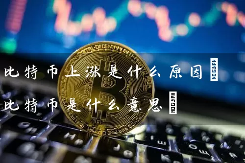 比特币上涨是什么原因(比特币是什么意思)