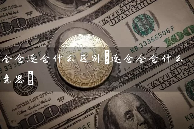 全仓逐仓什么区别(逐仓全仓什么意思)