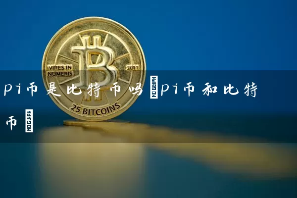 pi币是比特币吗(pi币和比特币)