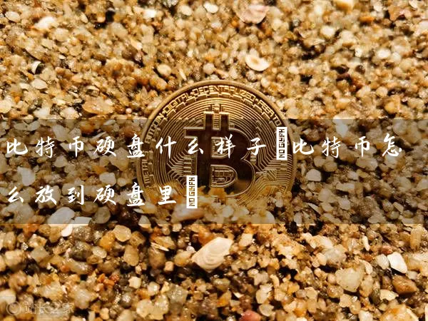 比特币硬盘什么样子(比特币怎么放到硬盘里)