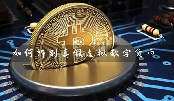 如何辨别真假虚拟数字货币