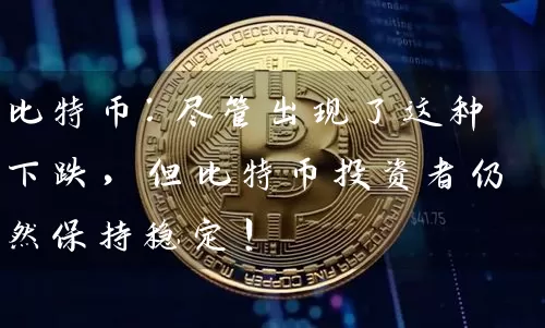 比特币：尽管出现了这种下跌，但比特币投资者仍然保持稳定！