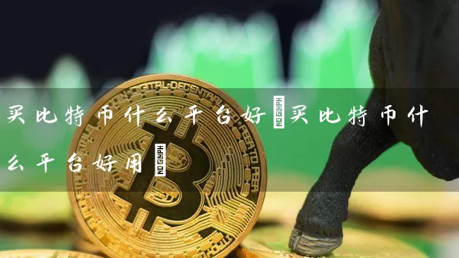 买比特币什么平台好(买比特币什么平台好用)