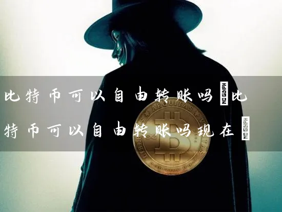 比特币可以转账吗(比特币可以转账吗现在)