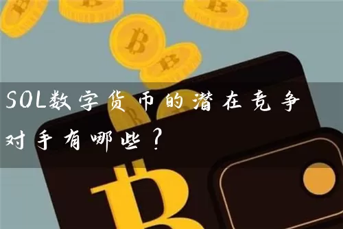 SOL数字货币的潜在竞争对手有哪些？