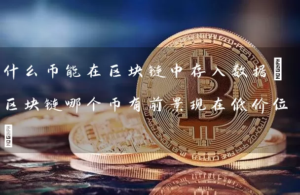 什么币能在区块链中存入数据(区块链哪个币有前景现在低价位)