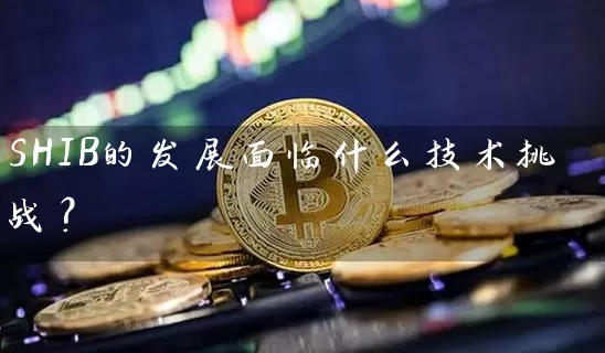 SHIB的发展面临什么技术挑战？