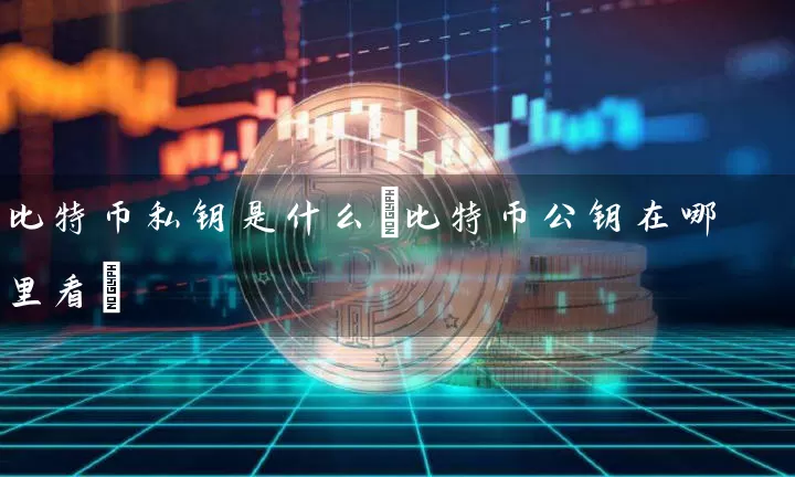 比特币私钥是什么(比特币公钥在哪里看)