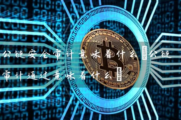 公链安全意味着什么(公链通过意味着什么)