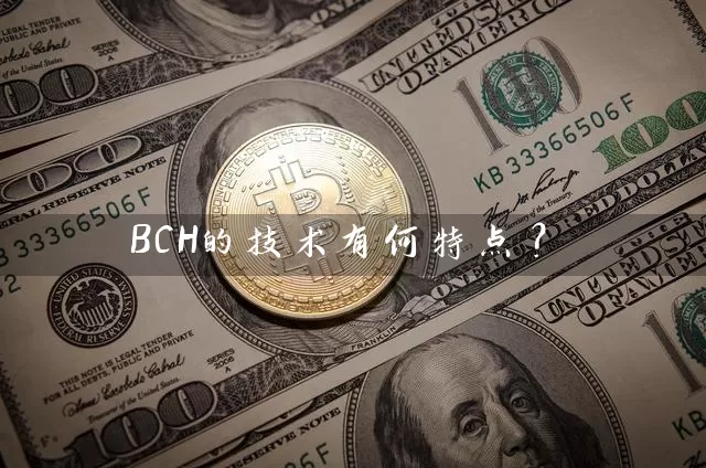 BCH的技术有何特点？