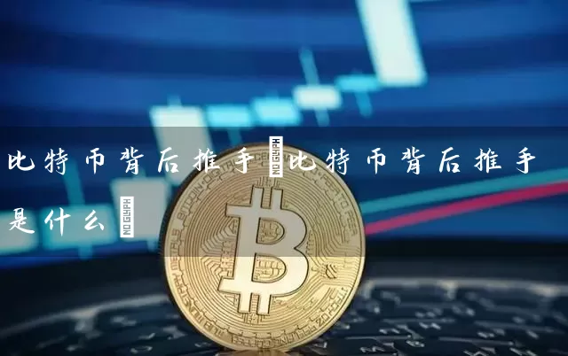 比特币背后推手(比特币背后推手是什么)