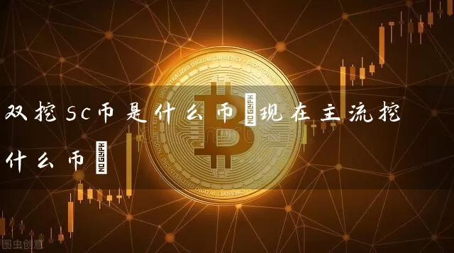 双挖sc币是什么币(现在主流挖什么币)