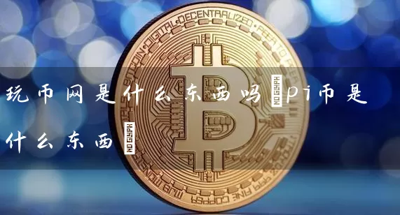 玩币网是什么东西吗(pi币是什么东西)
