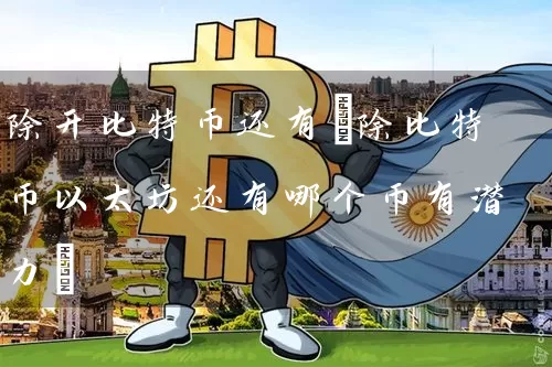除开比特币还有(除比特币以太坊还有哪个币有潜力)