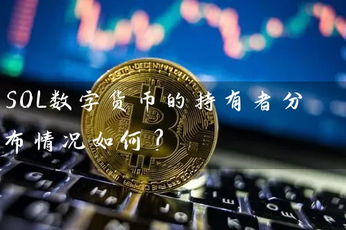 SOL数字货币的持有者分布情况如何？