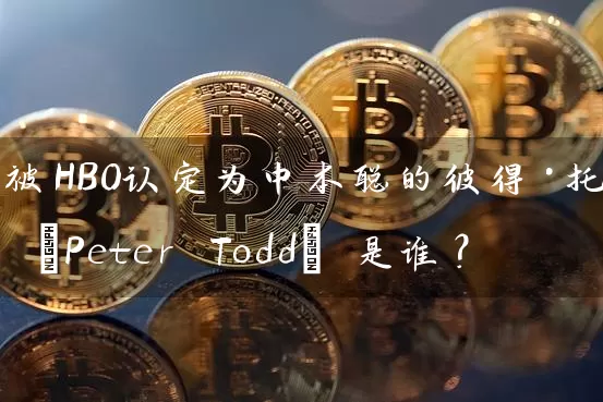 被HBO认定为中本聪的彼得·托德 (Peter Todd) 是谁？