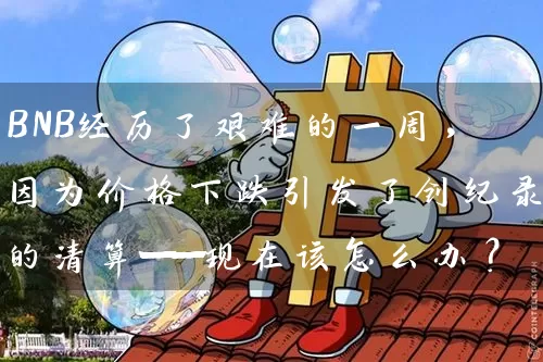 BNB经历了艰难的一周，因为价格下跌引发了创纪录的清算——现在该怎么办？