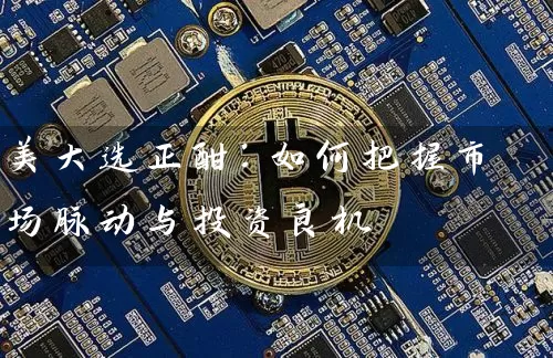 美大选正酣：如何把握市场脉动与投资良机