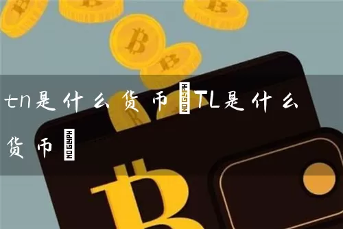 tn是什么货币(TL是什么货币)
