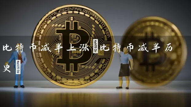 比特币减半上涨(比特币减半历史)