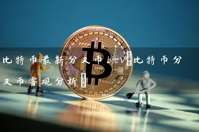 比特币最新分叉币btv(比特币分叉币客观分析)