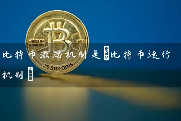 比特币激励机制是(比特币运行机制)