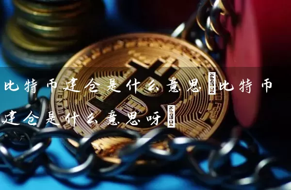 比特币建仓是什么意思(比特币建仓是什么意思呀)