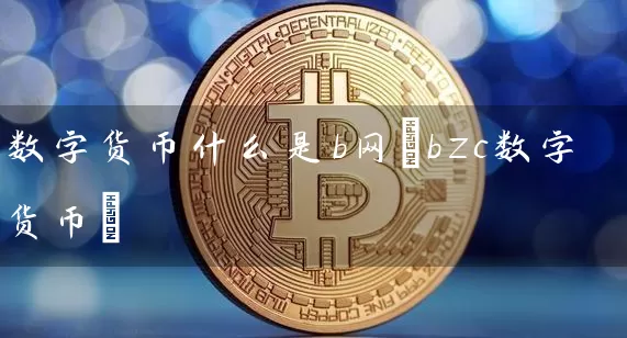 数字货币什么是b网(bzc数字货币)