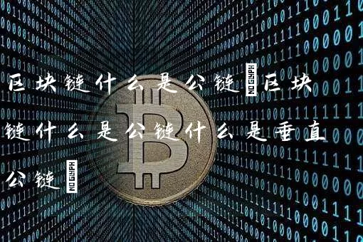区块链什么是公链(区块链什么是公链什么是垂直公链)
