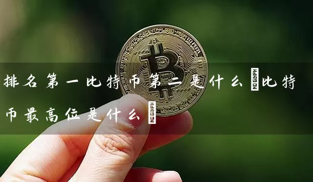 排名第一比特币第二是什么(比特币最高位是什么)