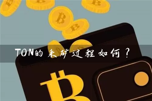TON的采矿过程如何？