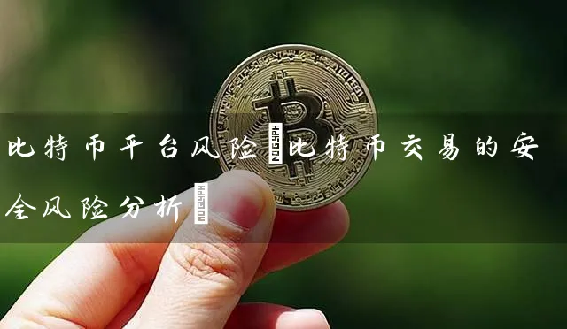 比特币平台风险(比特币交易的安全风险分析)
