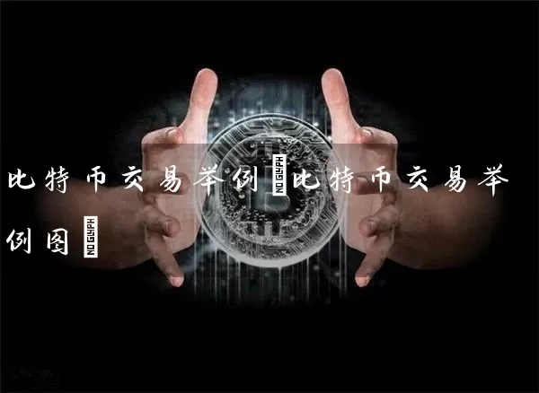 比特币交易举例(比特币交易举例图)