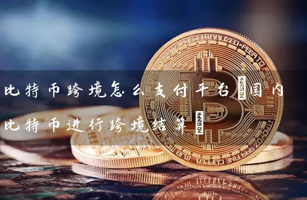 比特币跨境怎么支付平台(国内比特币进行跨境结算)