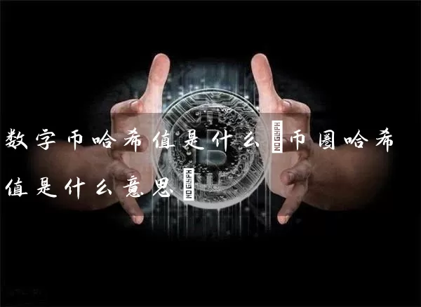 数字币哈希值是什么(币圈哈希值是什么意思)