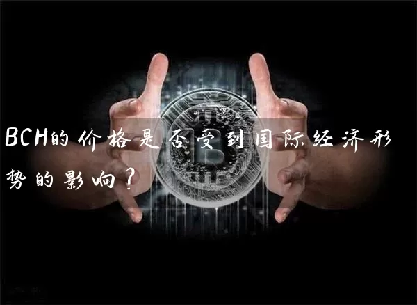 BCH的价格是否受到国际经济形势的影响？
