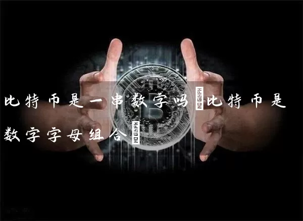 比特币是一串数字吗(比特币是数字字母组合)