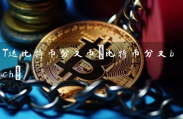 T送比特币分叉币(比特币分叉bch)
