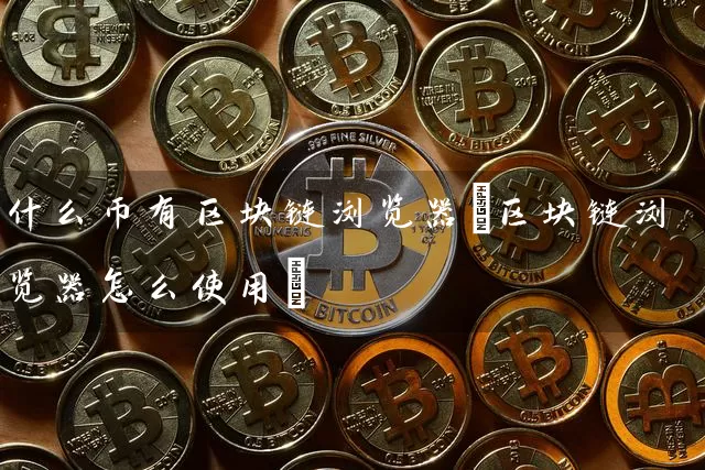什么币有区块链浏览器(区块链浏览器怎么使用)