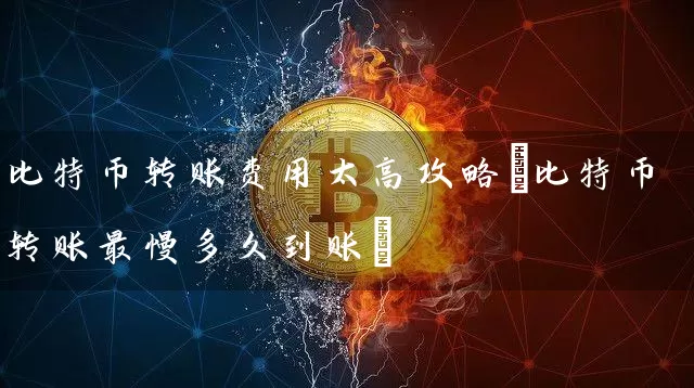 比特币转账费用太高攻略(比特币转账最慢多久到账)